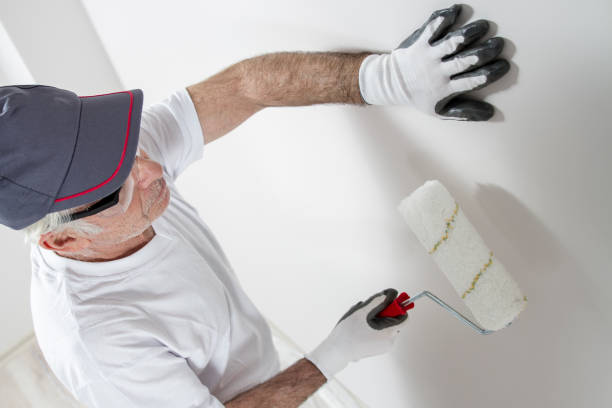 Professional Mold Removal in Air Force Academy, CO