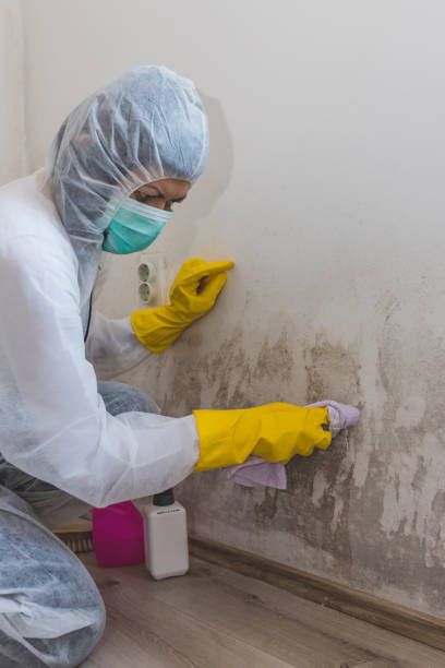 Best Indoor Air Quality Assessment  in Air Force Academy, CO