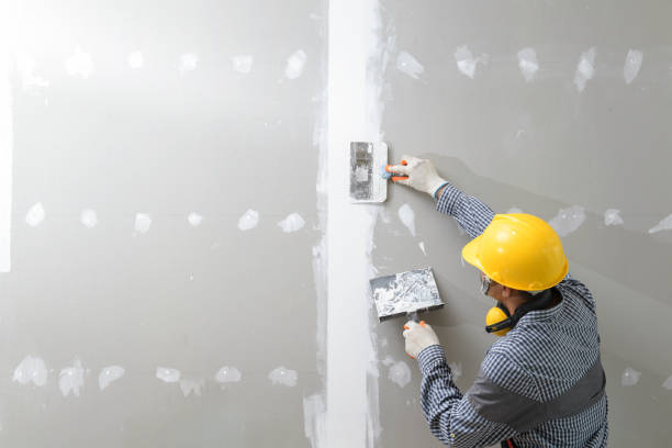 Best Black Mold Removal  in Air Force Academy, CO