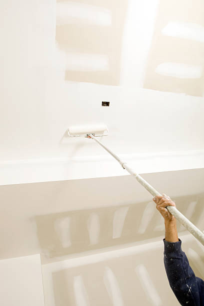  Air Force Academy, CO Mold Removal Pros