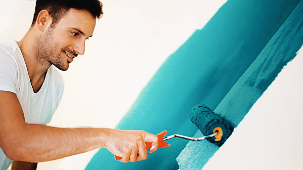 Best Biohazard Mold Removal  in Air Force Academy, CO