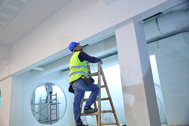 Best Asbestos and Lead Testing During Mold Inspection  in Air Force Academy, CO