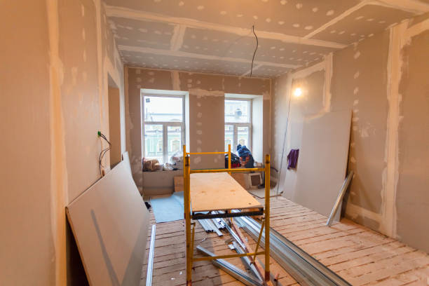 Best Basement Mold Removal  in Air Force Academy, CO